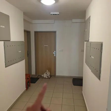 Hifiklubbrno Aircondition And Parking Daire *